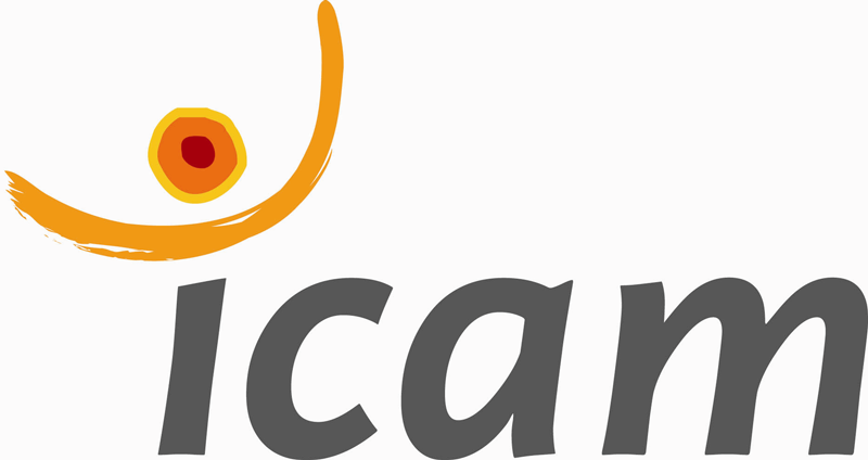Logotype Icam